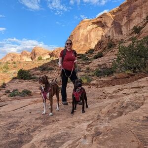 Meet your Posher, Amelia